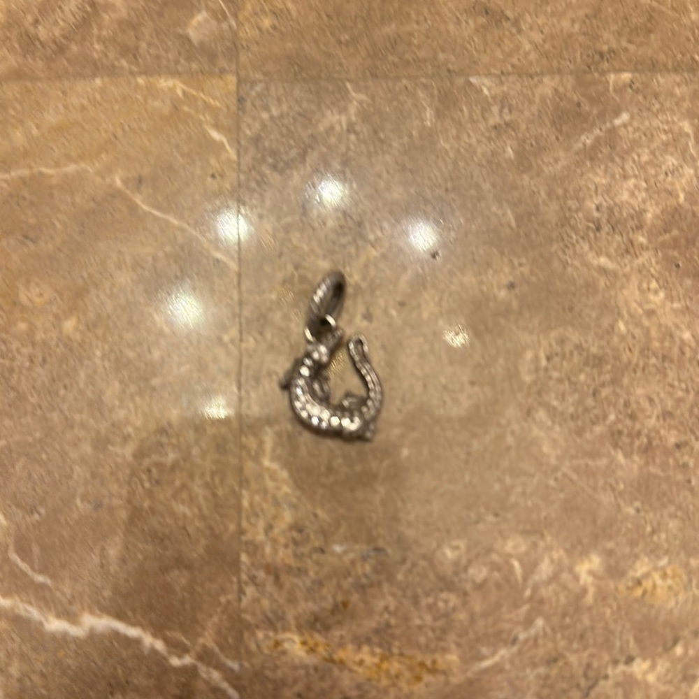 Brighton later gator charm
